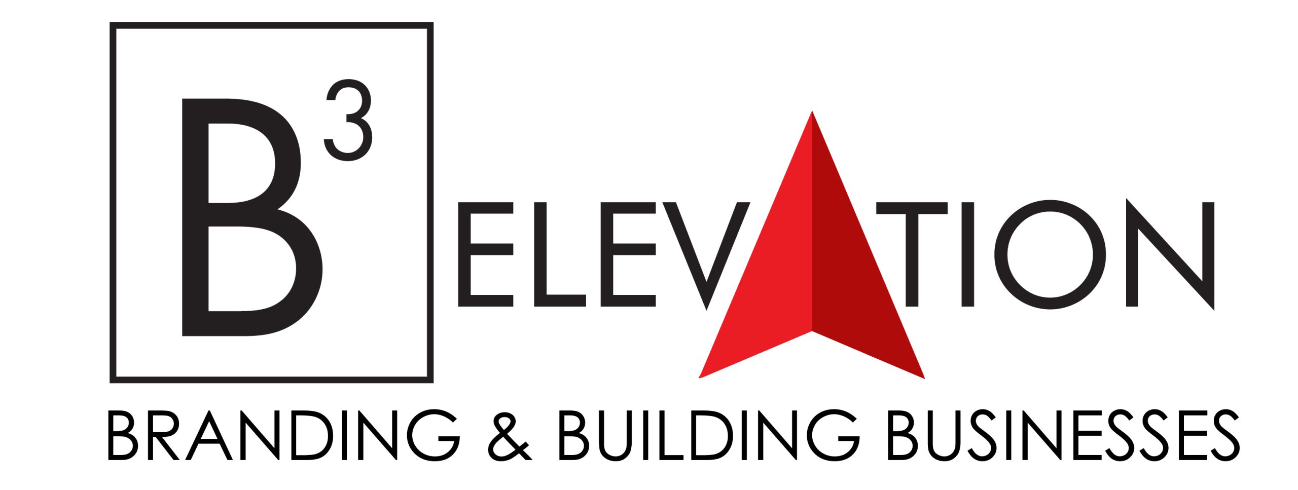 Diane Palmer from B3 Elevation Headshot Photo at Small Business Expo