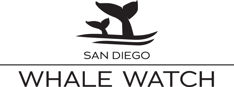SDWW Logo 3