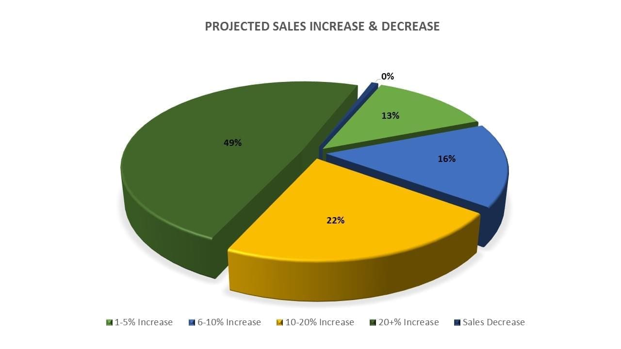 Sales Pie Chart