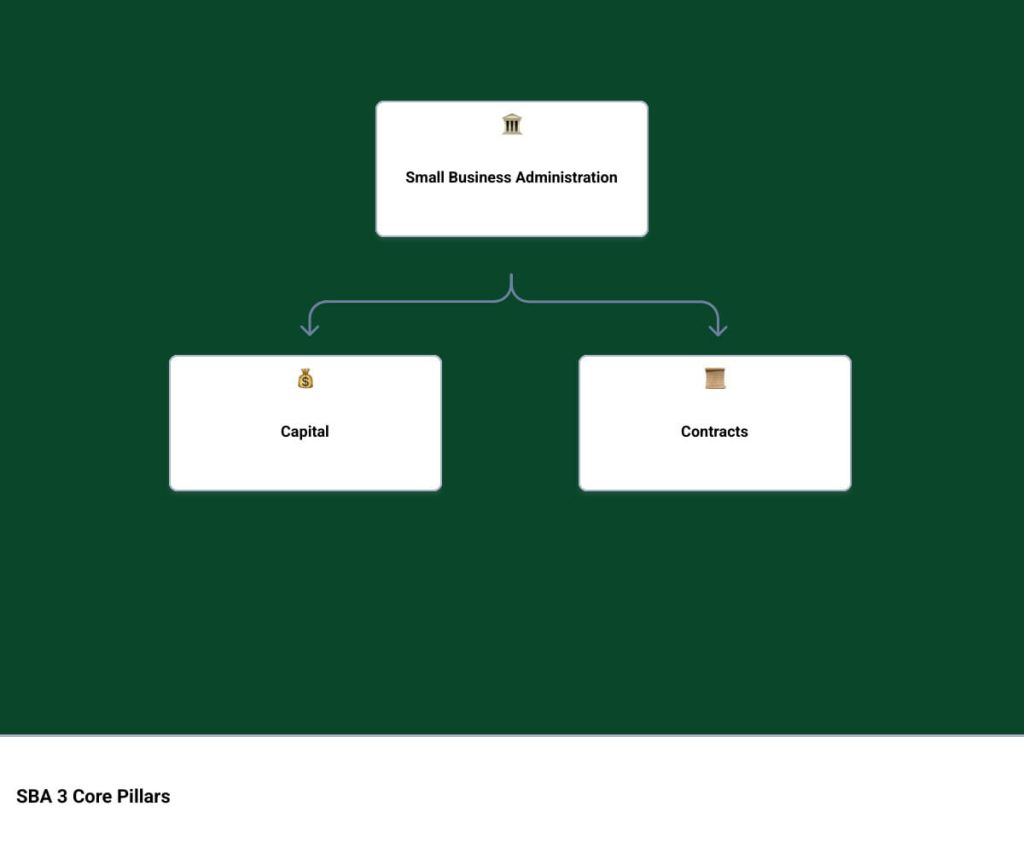 Organizational diagram showing the Small Business Administration's two core pillars: Capital and Contracts.